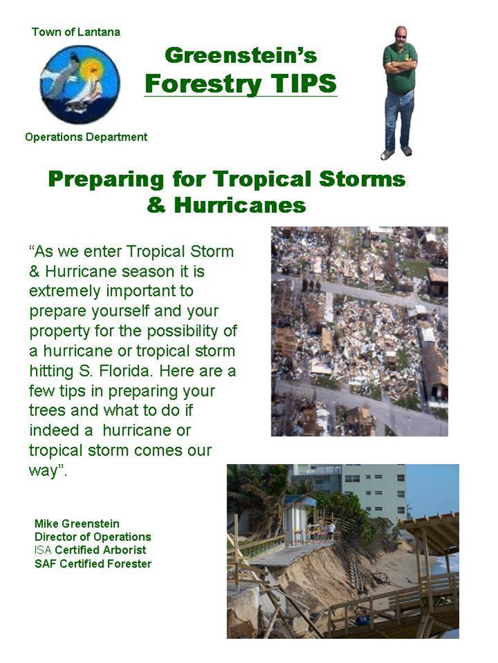 preparing for tropical storms 